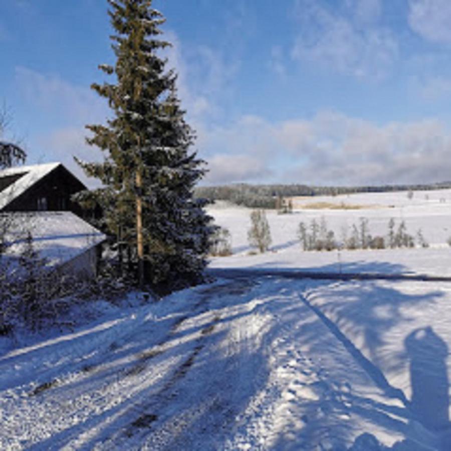 Ferienwohnung Zum Forsthaus Oberviechtach Exteriör bild